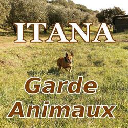 ITANA garde animaux, Roquebrune-sur-Argens - Horaires d'ouverture