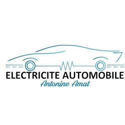 ELECTRICITE AUTOMOBILE, Locoal-Mendon - Horaires d'ouverture