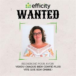 Spiquel Delphine Efficity, Champagne-sur-Oise - Horaires d'ouverture