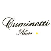 Cuminetti Fleurs, Saint-Girons - Horaires d'ouverture