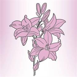 Cuminetti Fleurs, Saint-Girons - Horaires d'ouverture