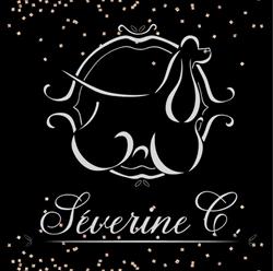 Séverine C. Toilettage, Villeneuve-le-Comte - Horaires d'ouverture