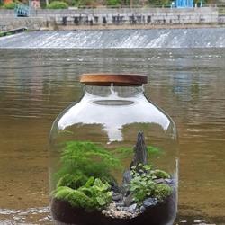 Verre le végétal - Artisan Terrarium, Laval - Horaires d'ouverture