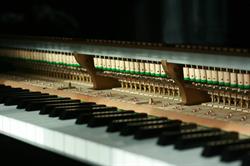 L'accordeur de piano, Champagne-sur-Oise - Horaires d'ouverture