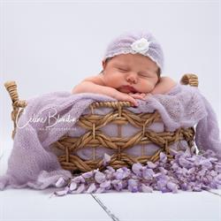 Céline Blondin - Photographe grossesse, naissance, famille, Plaisance-du-Touch - Horaires d'ouverture