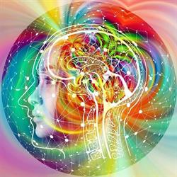 Yvelines Neurofeedback, Le Chesnay - Horaires d'ouverture