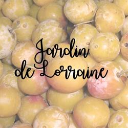 Jardin de Lorraine, Vigneulles-lès-Hattonchâtel - Horaires d'ouverture