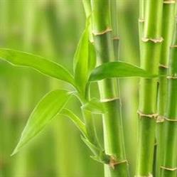 Coiff nature, Ossé - Horaires d'ouverture