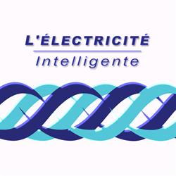 L'Electricité Intelligente, Mandelieu-la-Napoule - Horaires d'ouverture