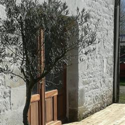 Gîte des 3 Saules, Saint-Savinien - Horaires d'ouverture