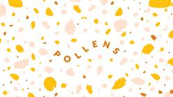 POLLENS Pollution Environnement Santé, Bordeaux - Horaires d'ouverture