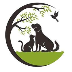 Aux4Pat Toilettage et Pension Canine, Nîmes - Horaires d'ouverture