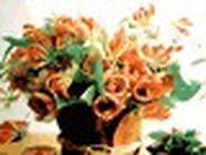 Bodiger Fleurs, Plougastel-Daoulas - Horaires d'ouverture