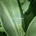 Fruchaud anne - psychopraticienne -therapie relationnelle, Die - Horaires d'ouverture