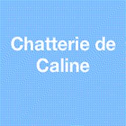 Chatterie de caline : Élevage et vente de chatons Sacré de birmanie, Angerville-la-Campagne - Horaires d'ouverture