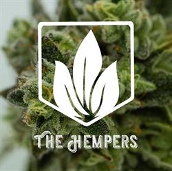 THE HEMPERS, Cavaillon - Horaires d'ouverture