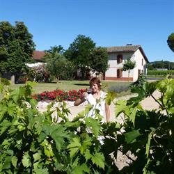 DOMAINE BORIE VIEILLE, Lisle-sur-Tarn - Horaires d'ouverture