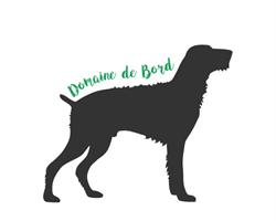 DOMAINE DE BORD, Ruffec - Horaires d'ouverture