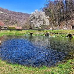 PISCICULTURE DE LA VALLEE, Guillon-les-Bains - Horaires d'ouverture