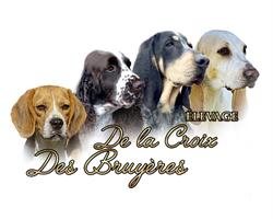 Élevage de La Croix des Bruyères - EI, Vicq-Exemplet - Horaires d'ouverture