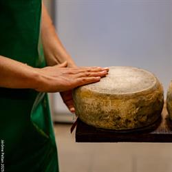 GAEC AU PRE DE LA TERRE, Plélan-le-Grand - Horaires d'ouverture