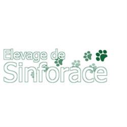 Auberge Canine et Feline des Perreaux, Melay - Horaires d'ouverture