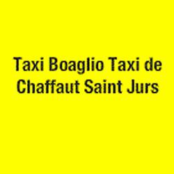 Les Taxis Duyes Bleone, Digne-les-Bains - Horaires d'ouverture