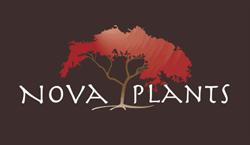 NOVA PLANTS, Chatte - Horaires d'ouverture