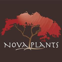 NOVA PLANTS, Chatte - Horaires d'ouverture
