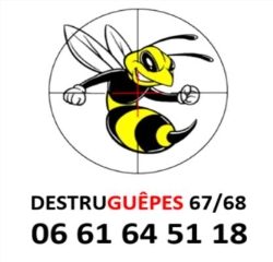 Destruguêpes 67/68 - Destruction Nids de Guêpes - Destruction Nids de Frelons, Huttenheim - Horaires d'ouverture