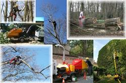 JR Elagage, Angers - Horaires d'ouverture