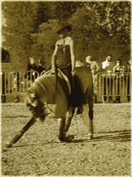 LES ECURIES DU BONHEUR, Longwy-sur-le-Doubs - Horaires d'ouverture