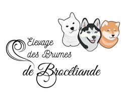 ELEVAGE DES BRUMES DE BROCELIANDE, Mauron - Horaires d'ouverture