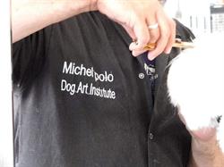 DogArt Institute Salon de Toilettage, Arcis-sur-Aube - Horaires d'ouverture