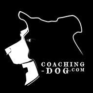 Coaching Dog - Sylvain Lemoussu, Pierreville - Horaires d'ouverture
