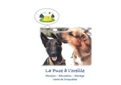 La Puce à l'Oreille, Le Pin - Horaires d'ouverture