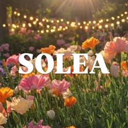 Solea, Montmorot - Horaires d'ouverture