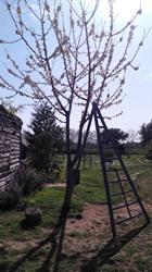 Le Mazet aux 4 vents-Alain Fabregat ., Baillargues - Horaires d'ouverture
