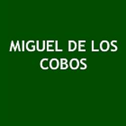 DE LOS COBOS MIGUEL, Paris - Horaires d'ouverture