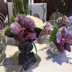 Horticulture Bienvenot Scea, Wisches - Horaires d'ouverture