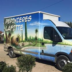 Lafitte Pépinières, Albias - Horaires d'ouverture