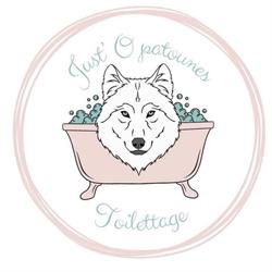 Salon de Toilettage Just’O patounes, Cholet - Horaires d'ouverture