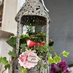 Au Paradis Fleuri, Incheville - Horaires d'ouverture