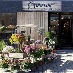 Cadoflor, Renaison - Horaires d'ouverture