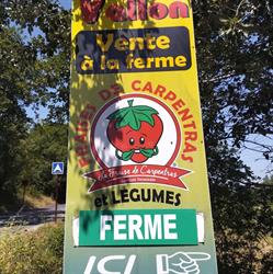 Le Beau Vallon Fraises de Carpentras et Raisins de table - Horaires d'ouverture