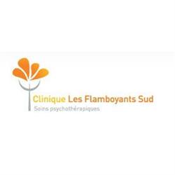 Clinique les Flamboyants Sud, Saint-Louis - Horaires d'ouverture