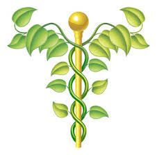 Marino Steve Naturopathe, Perpignan - Horaires d'ouverture