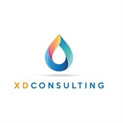XD Consulting - Gestion d'actifs et Maîtrise des risques, Saint-Genis-Laval - Horaires d'ouverture