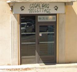 Cigal'Dog Toilettage Chiens Chats, Saint-Hippolyte-du-Fort - Horaires d'ouverture