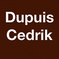 Dupuis Cedrik, Saint-Martin-de-Saint-Maixent - Horaires d'ouverture